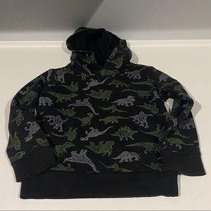 Jumping Beans Dino 🦕 Hoodie